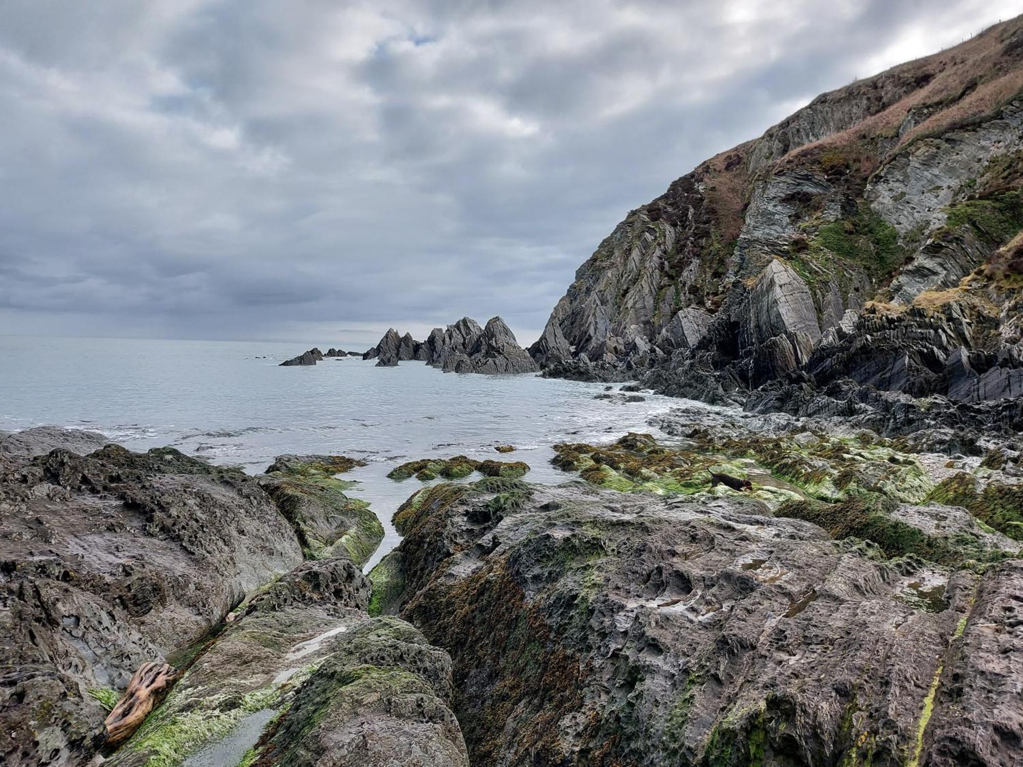 Flat 1 High Tide House, Mortehoe - Beautifully Designed Ground Floor Flat With Sea Views And Garden Exterior foto